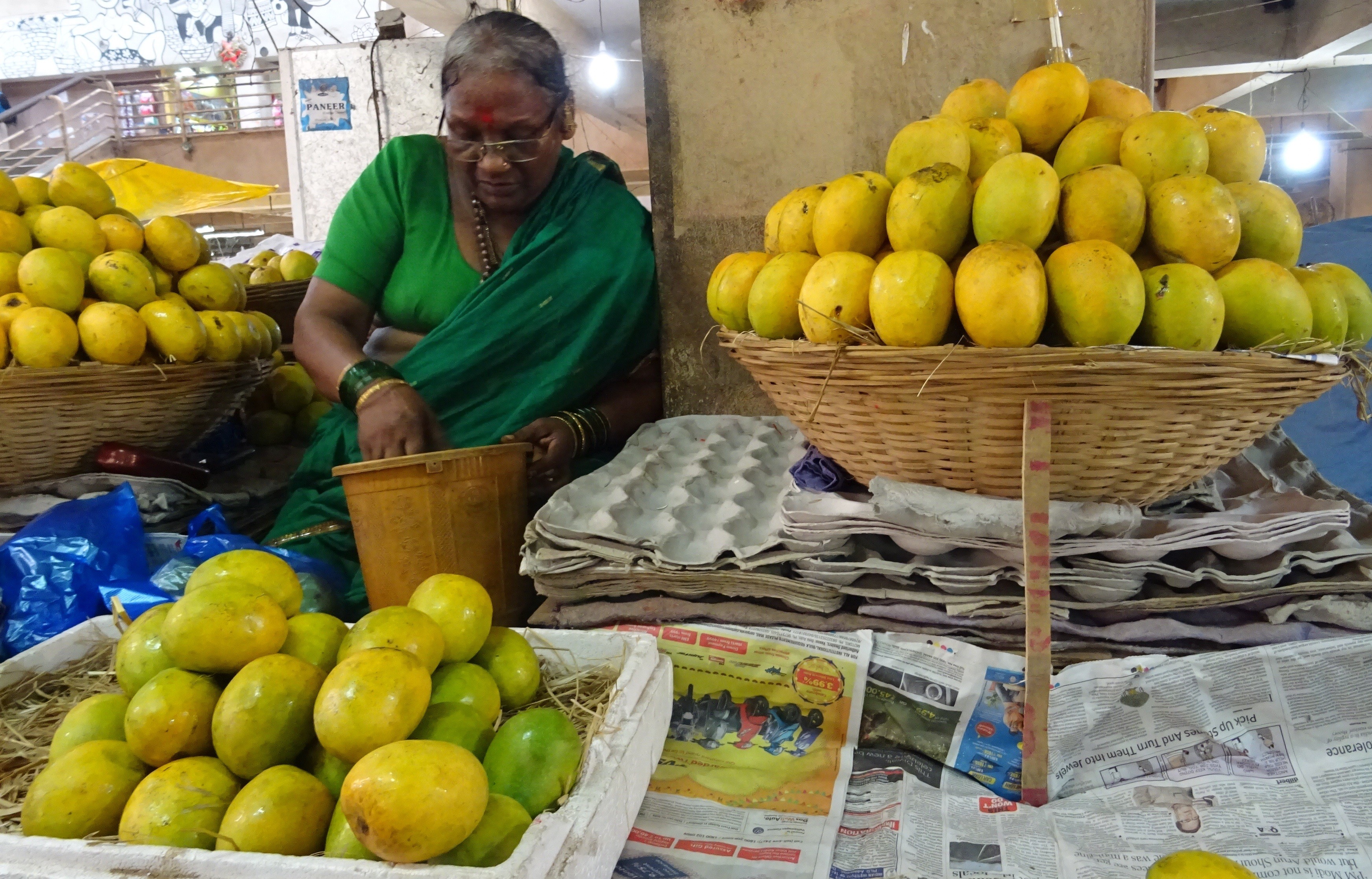 Fresh Mancurad mangoes in a traditional Goan market basket